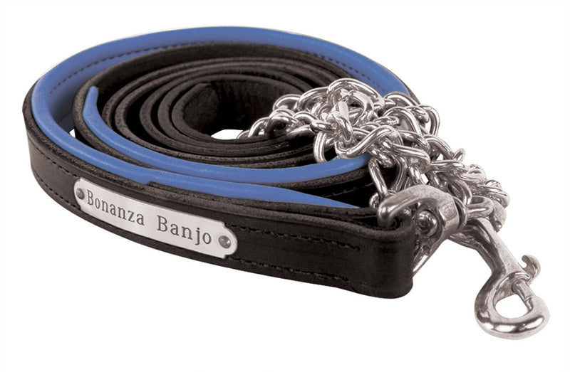Perri's Personalized Padded Leather Lead with Chain