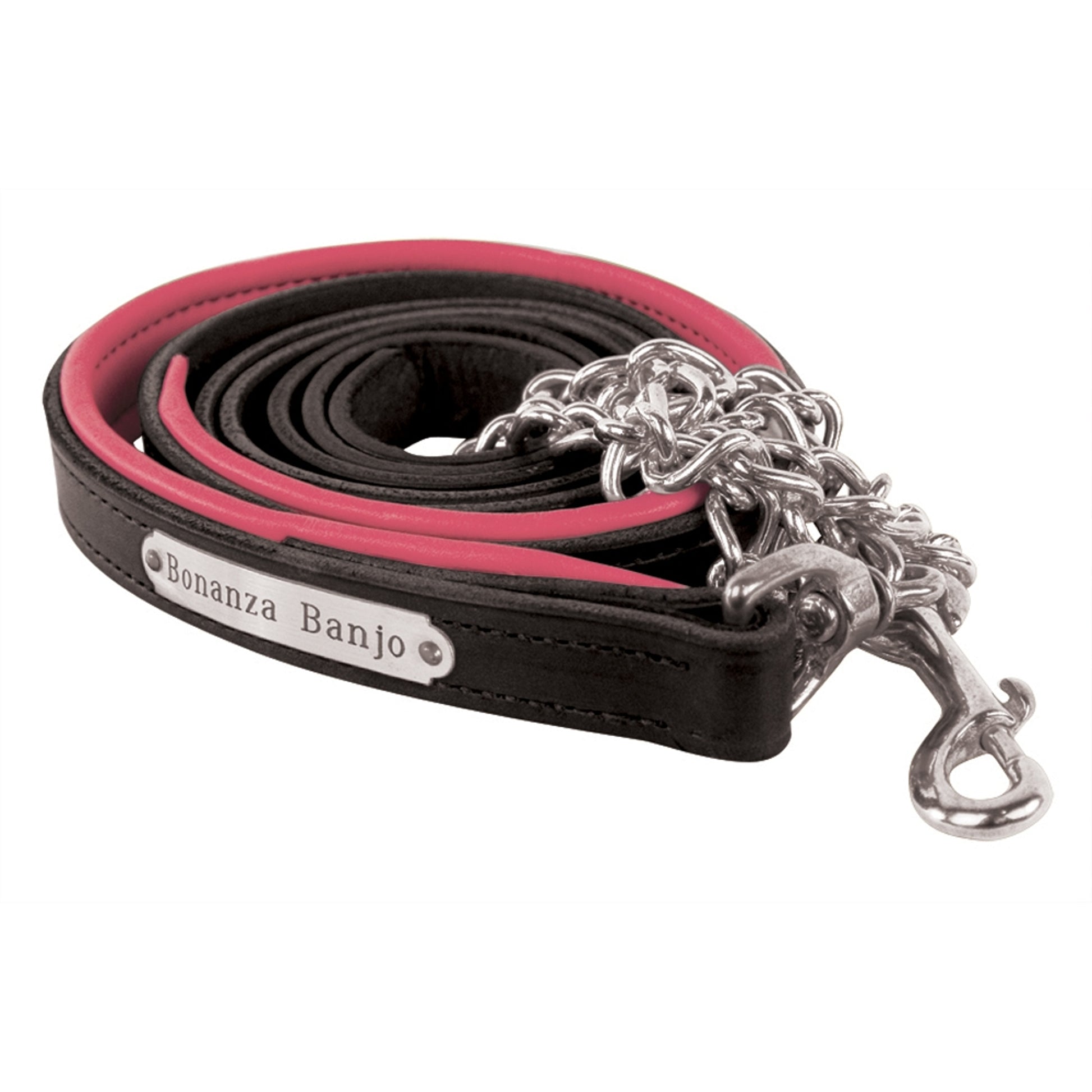 Perri's Personalized Padded Leather Lead with Chain