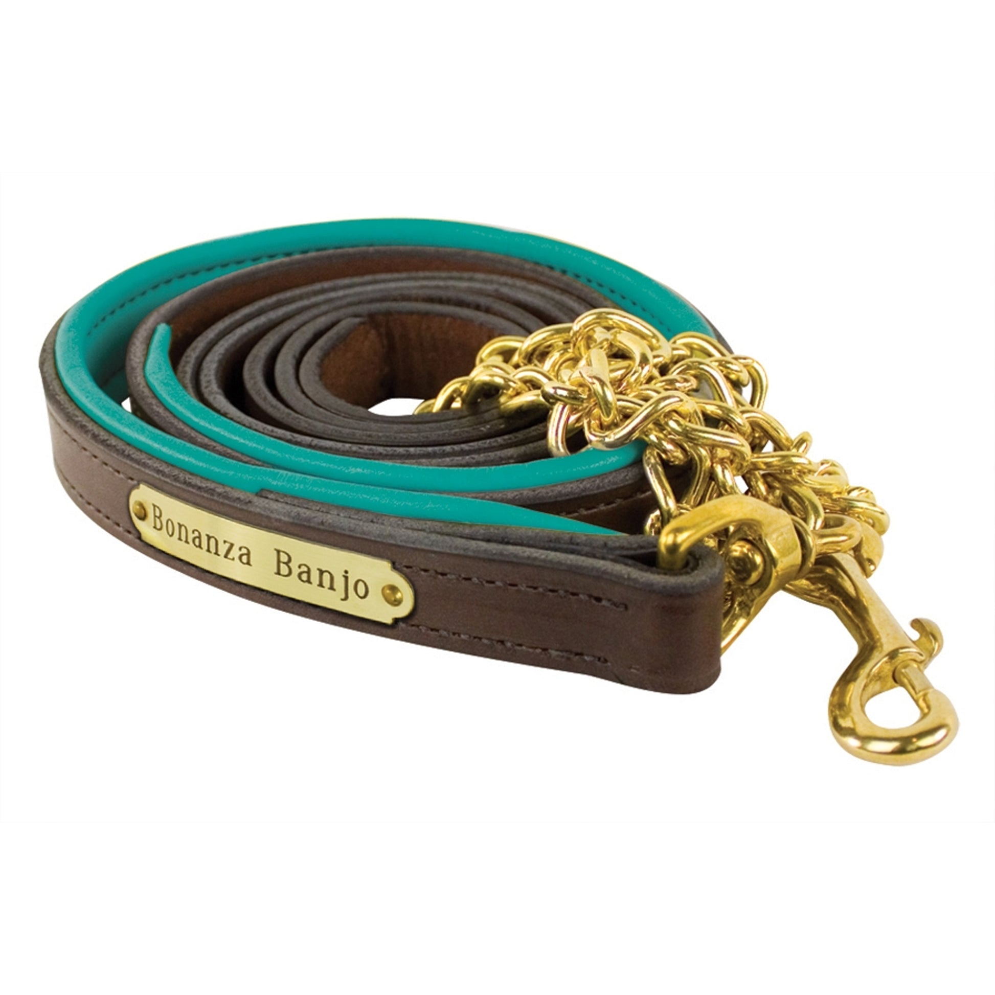 Perri's Personalized Padded Leather Lead with Chain
