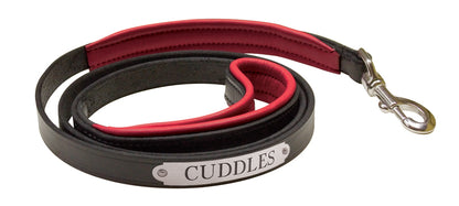 Perri's Personalized Padded Leather Dog Leash
