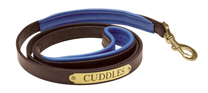 Perri's Personalized Padded Leather Dog Leash
