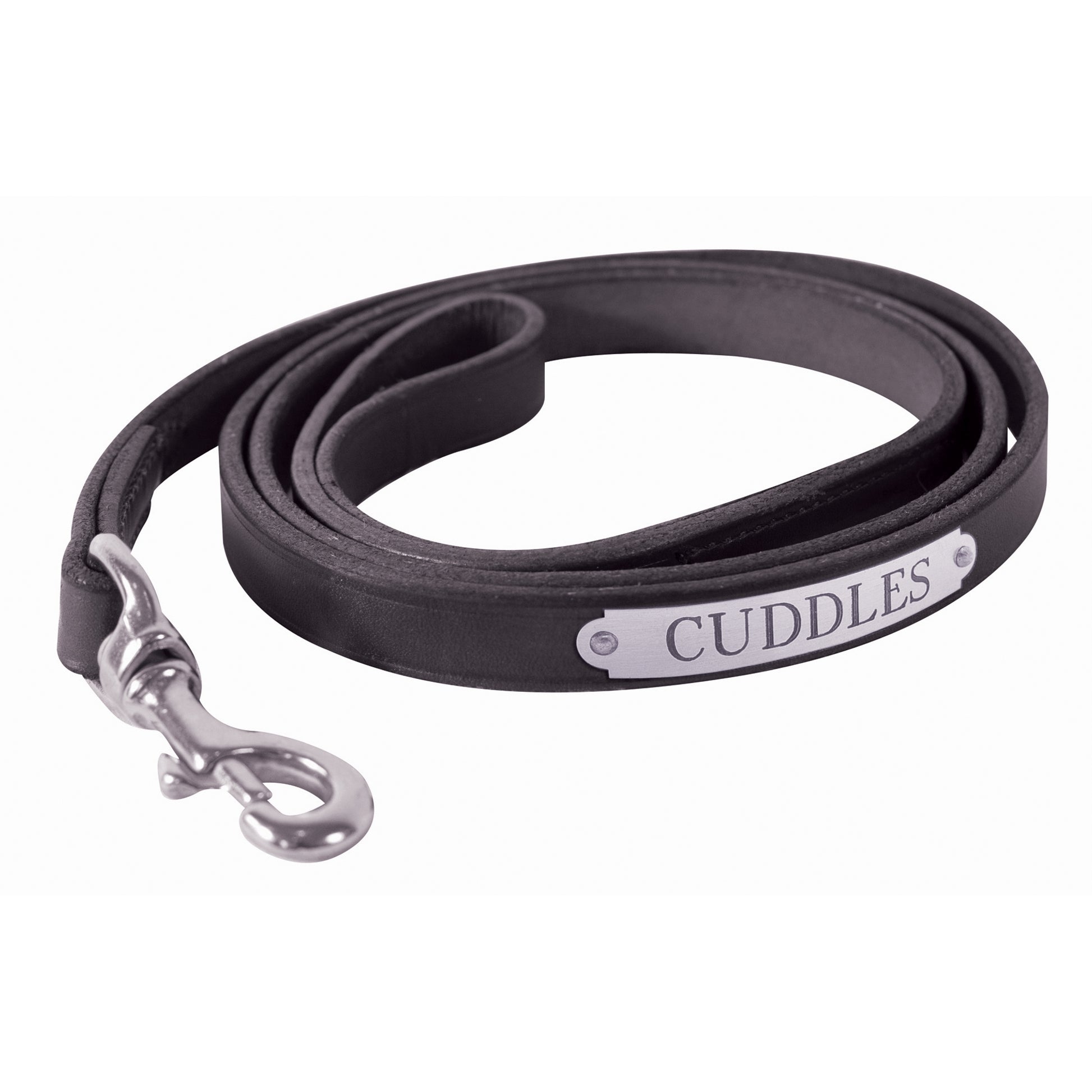 Perri's Personalized Plain Leather Dog Leash