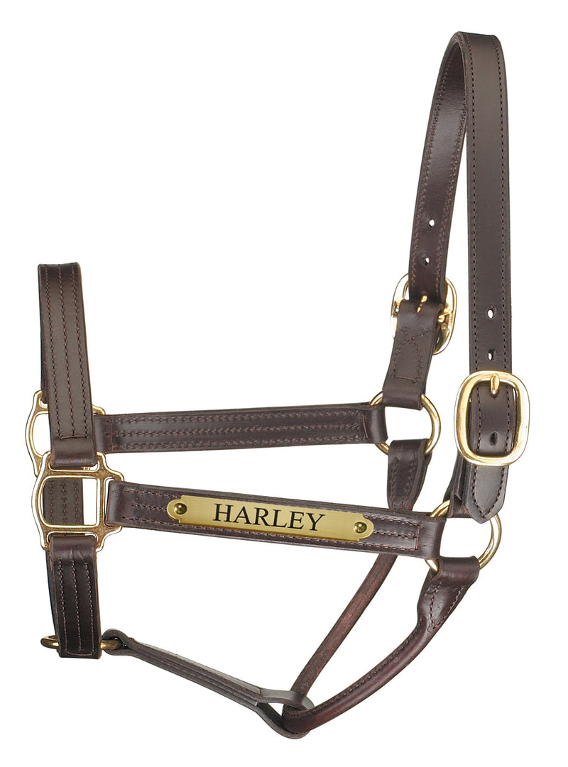 Perri's Personalized Premium Track Halter