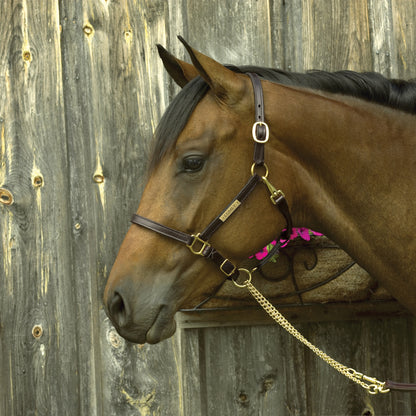 Perri's Personalized 3/4" Premium Show Halter