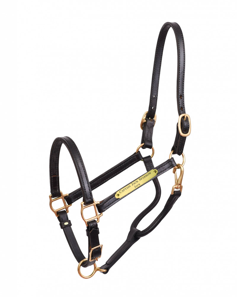 Perri's Personalized 3/4" Premium Show Halter