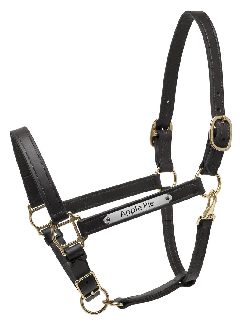 Perri's Personalized Deluxe Turnout Halter
