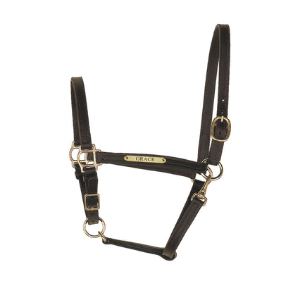 Perri's Personalized 3/4" Leather Turnout Halter