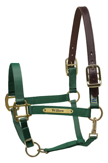 Perri's Personalized Premium Nylon Safety Halter