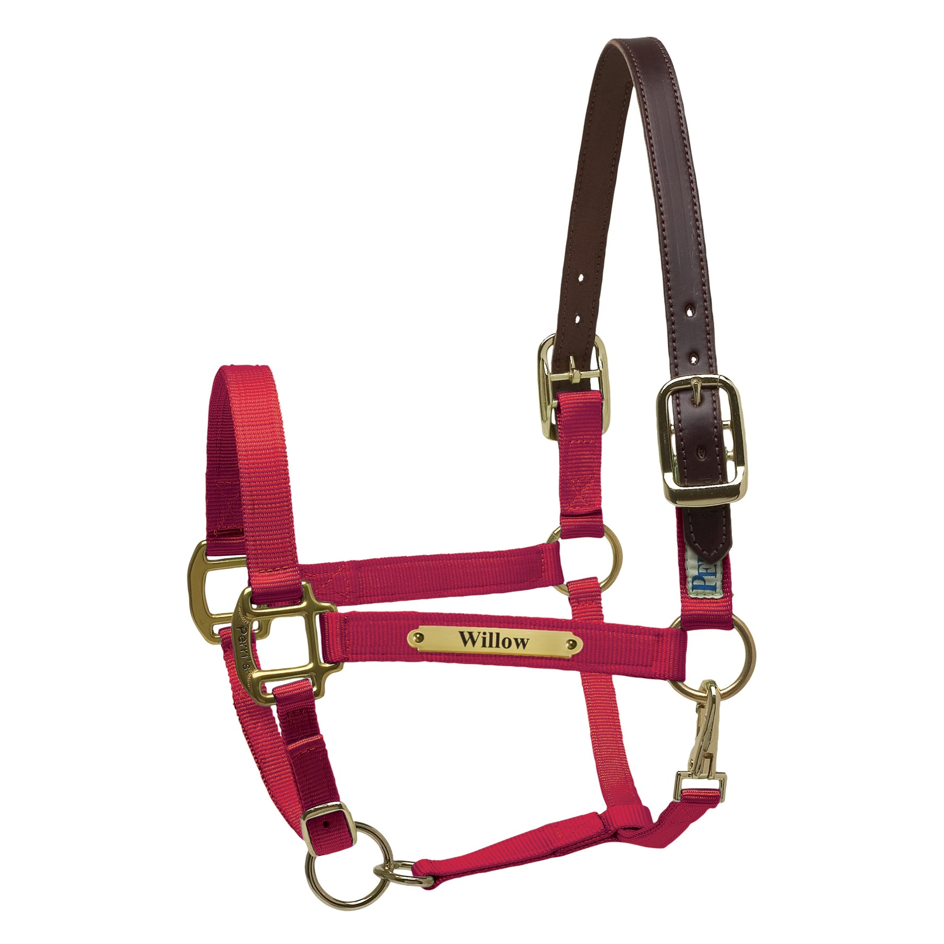 Perri's Personalized Premium Nylon Safety Halter