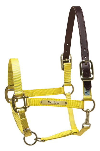 Perri's Personalized Premium Nylon Safety Halter
