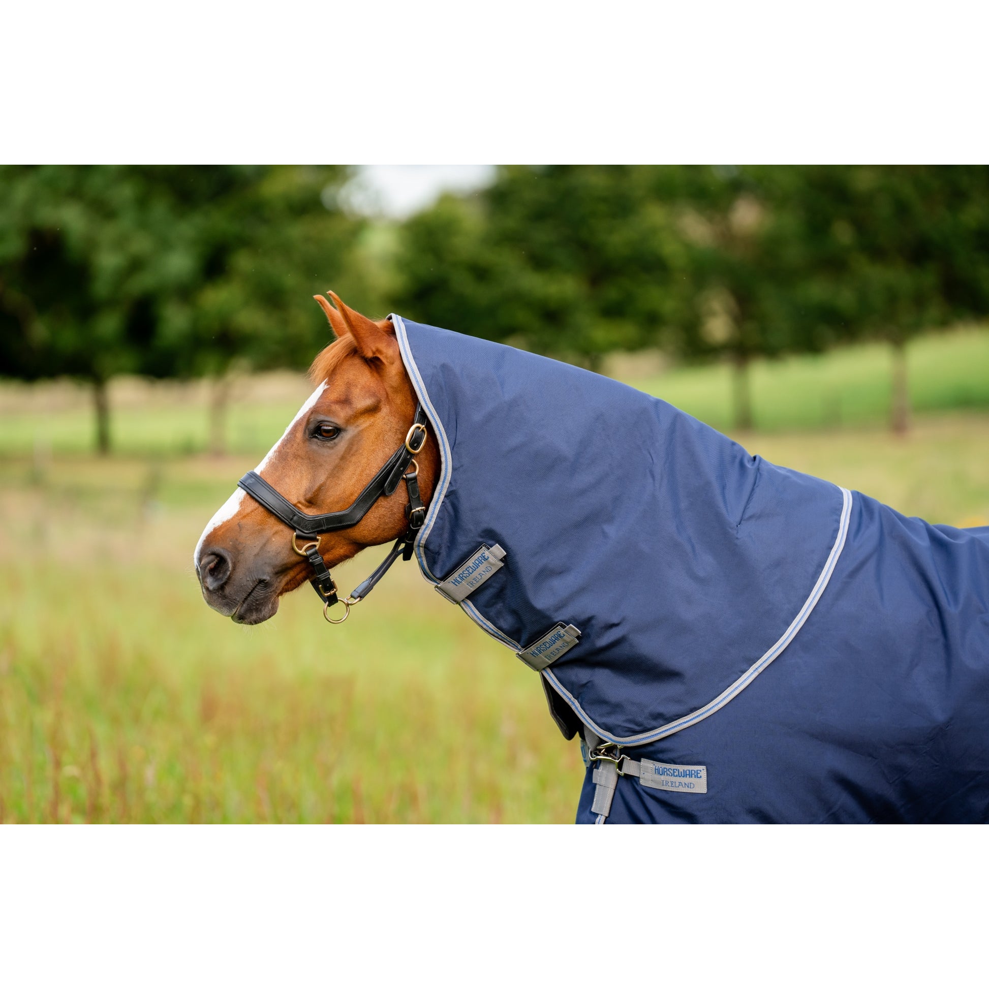 Rhino Turnout Hood 0g
