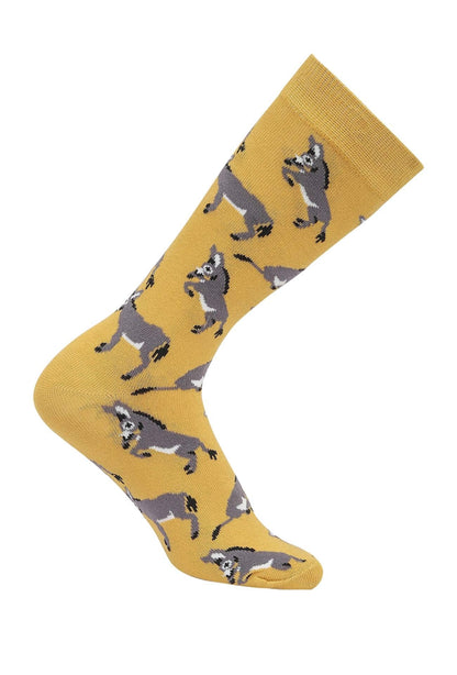 AWST Int'l Playful Donkeys Socks