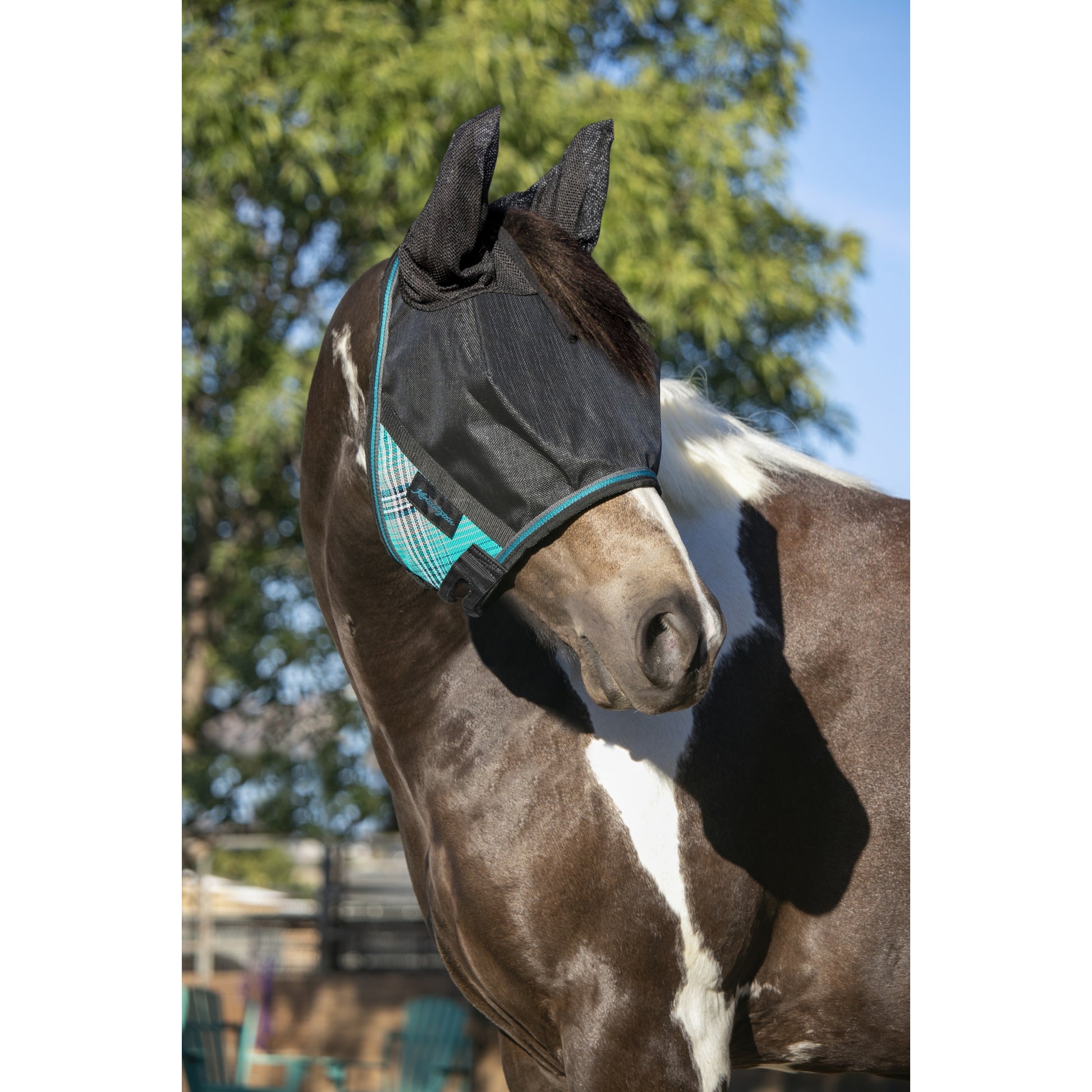 UV CatchMask Ears Frlk