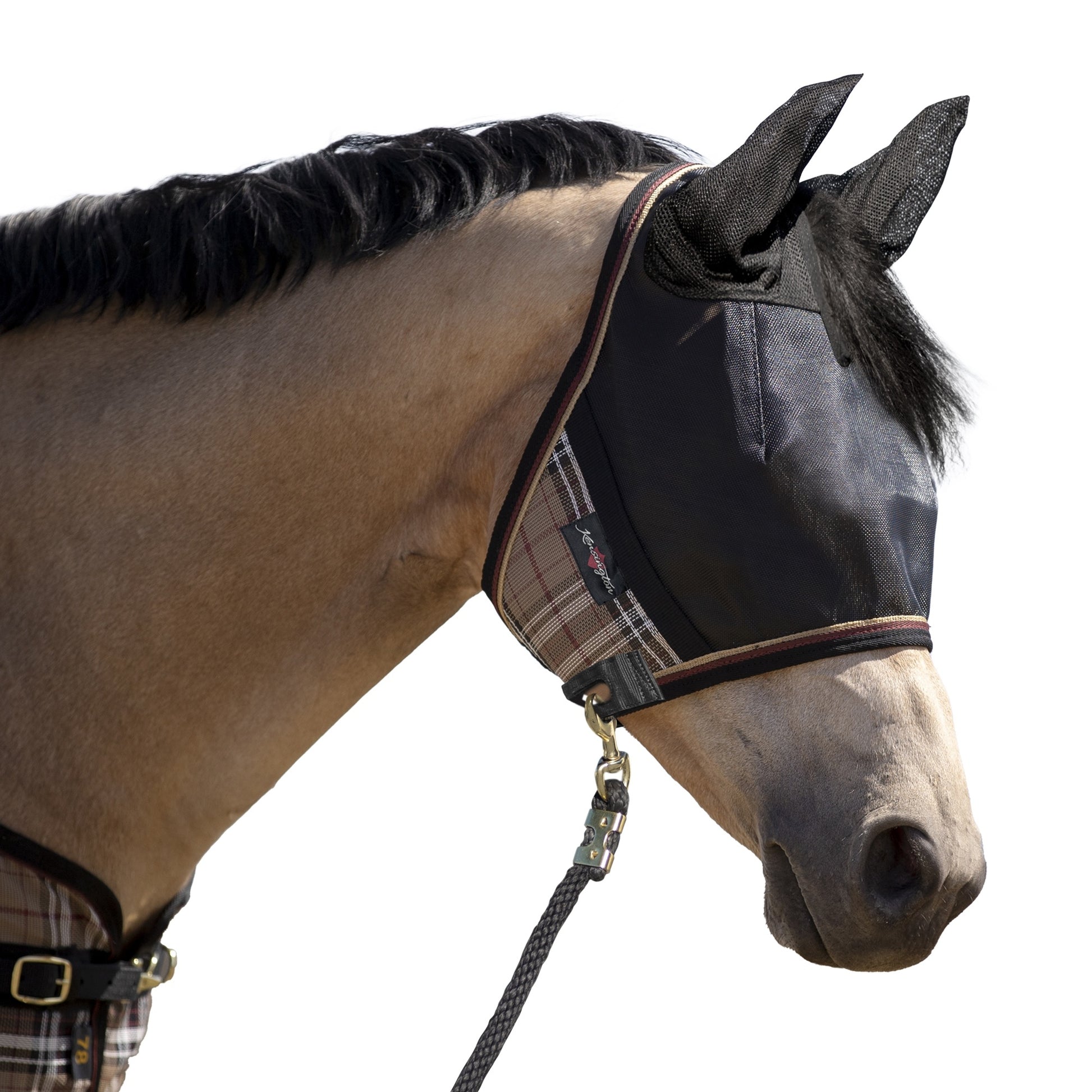 UV CatchMask Ears Frlk