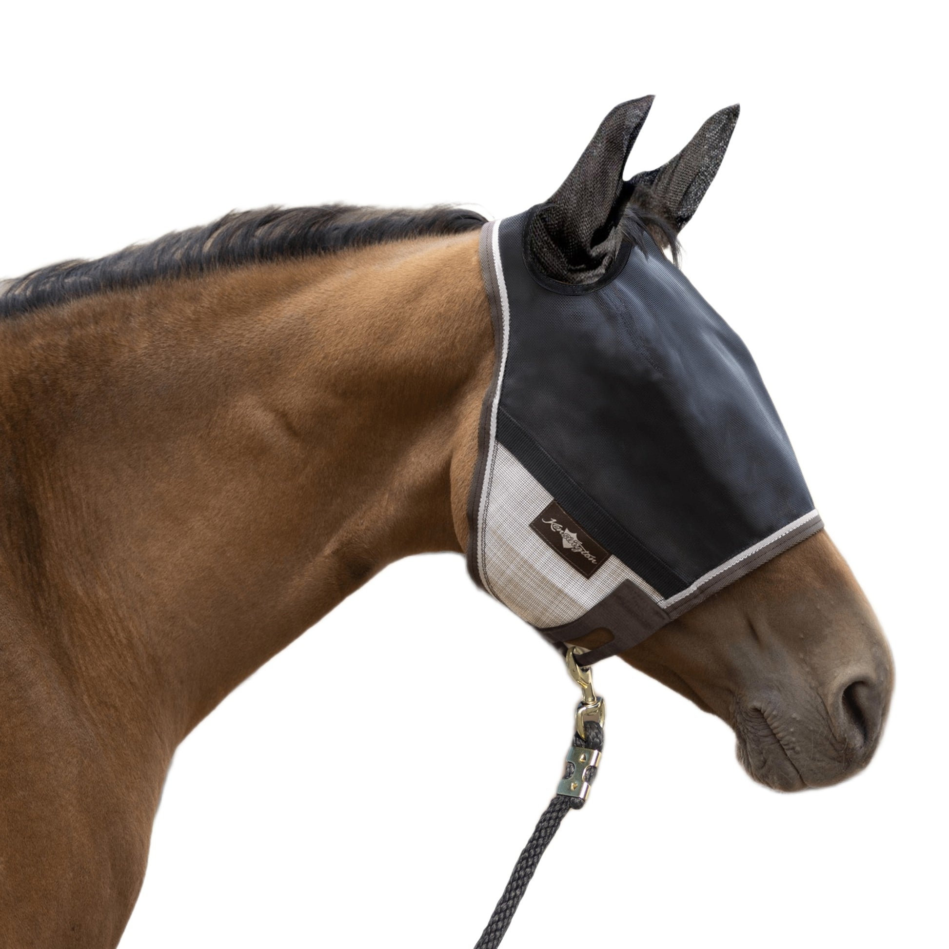 UV CatchMask Ears Frlk