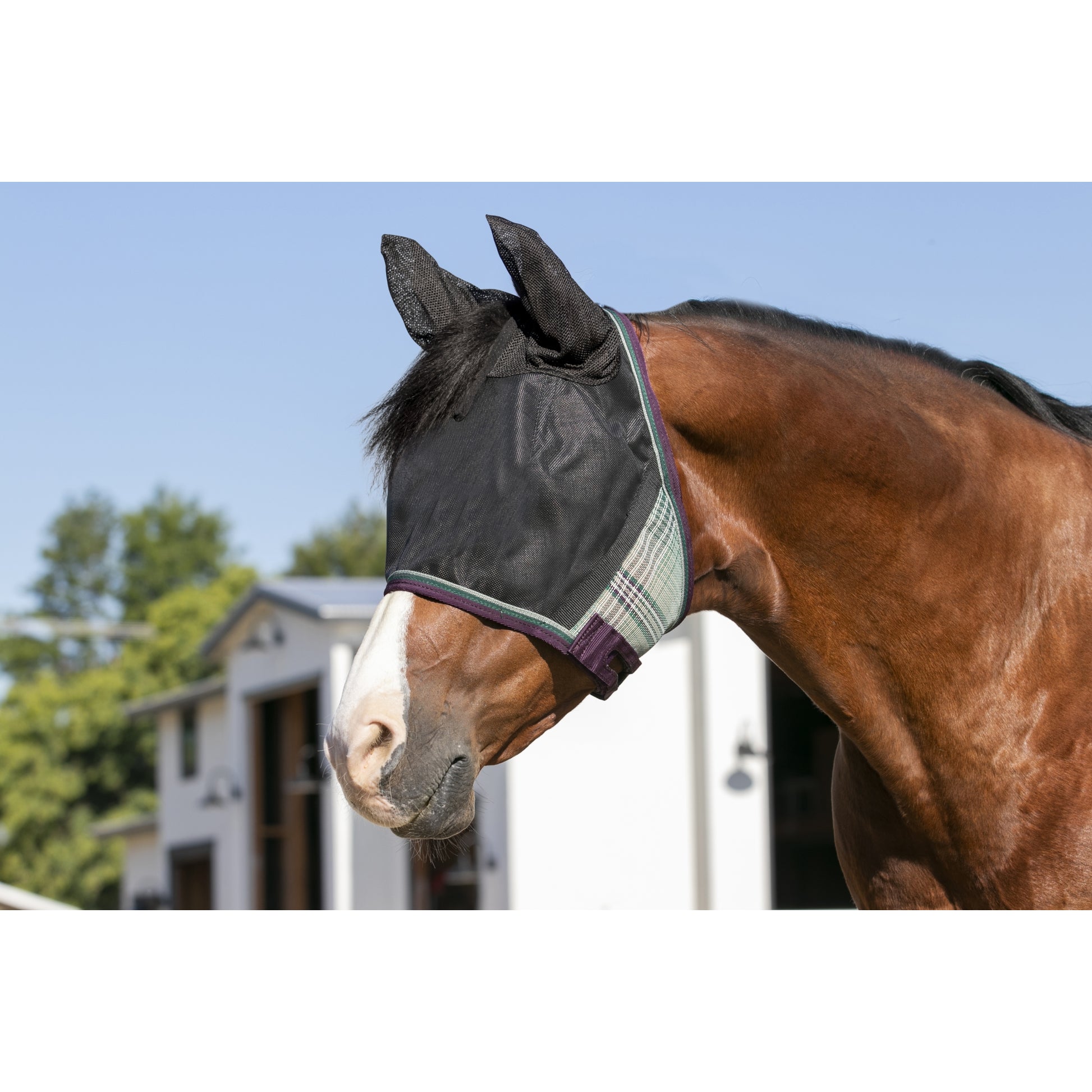 UV CatchMask Ears Frlk