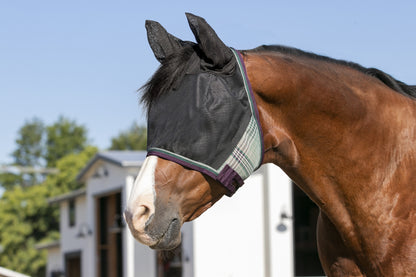UV CatchMask Ears Frlk