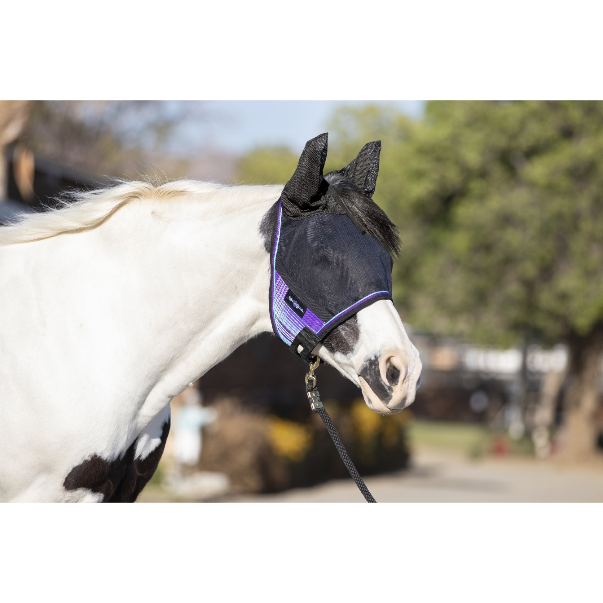 UV CatchMask Ears Frlk