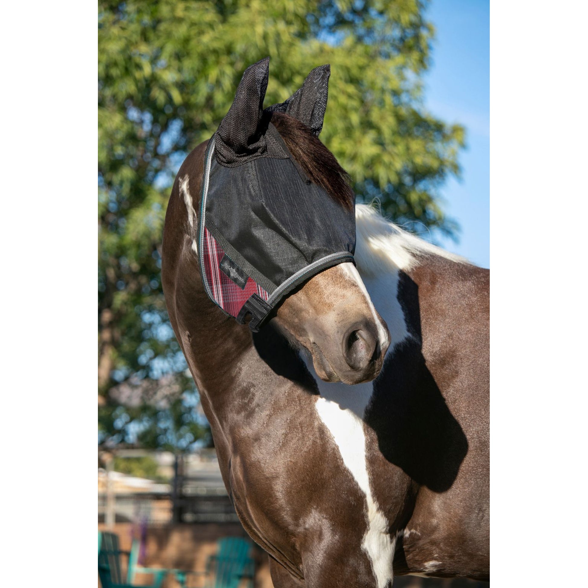 UV CatchMask Ears Frlk