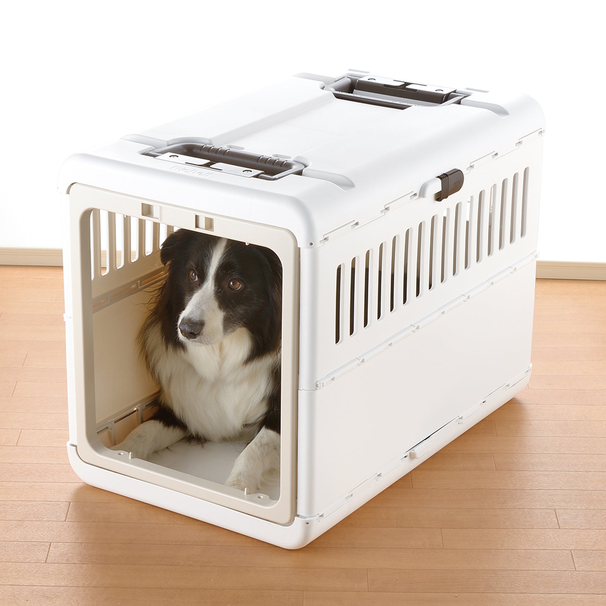 Richell Foldable Pet Carrier