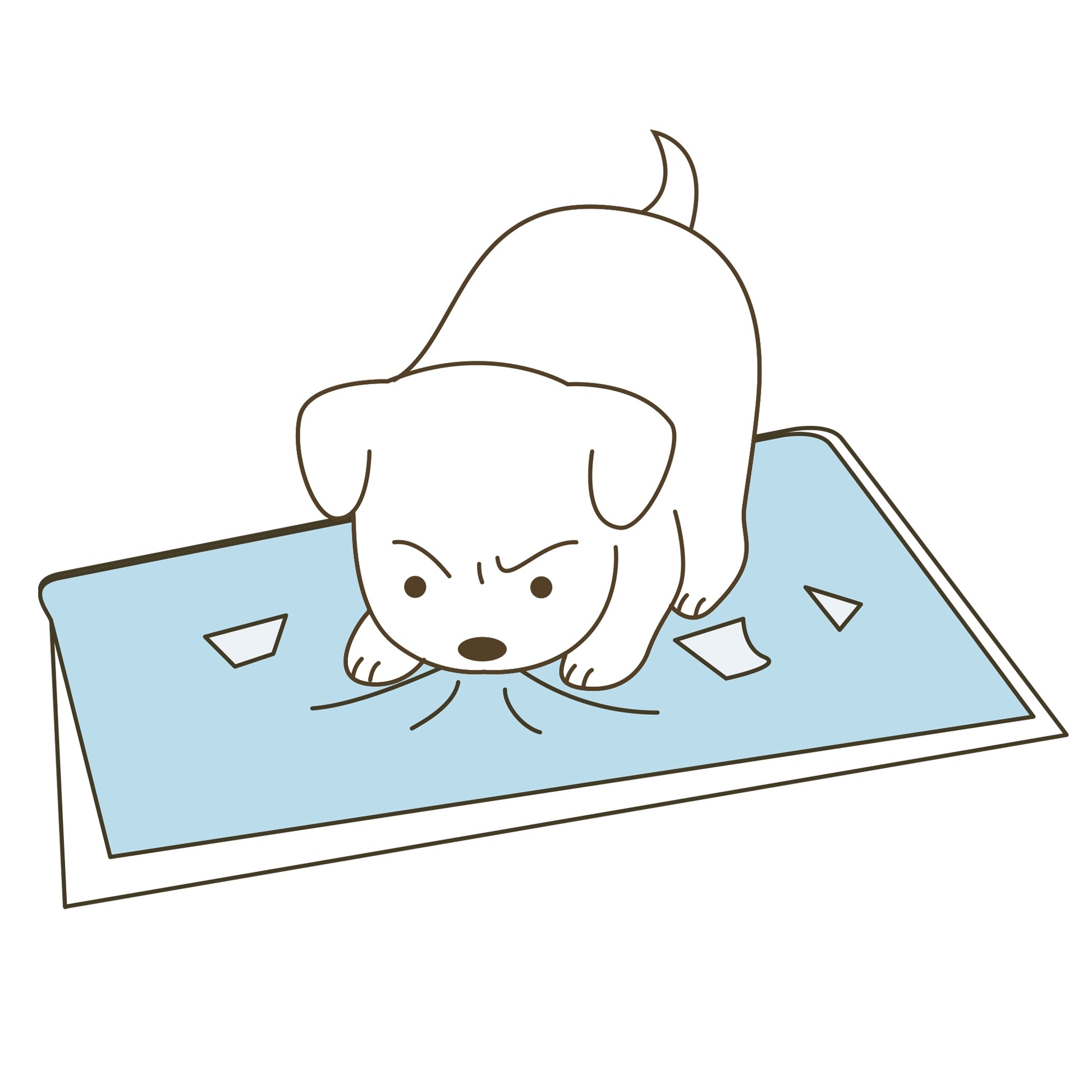 Richell PAW TRAX Splash Free Potty Pad Tray