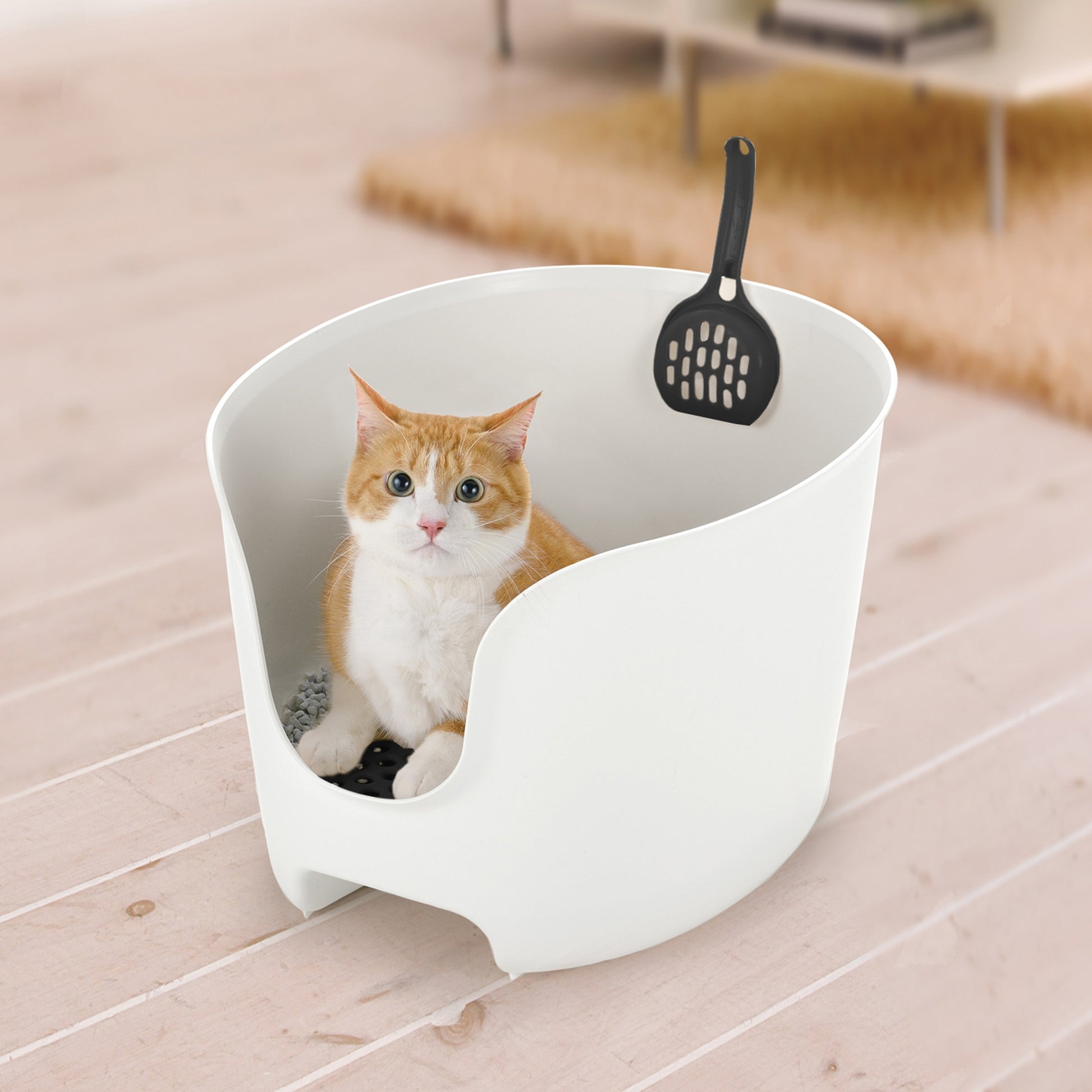 Richell PAW TRAX High Wall Cat Litter Box