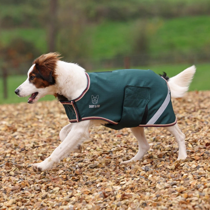 Shires Digby & Fox Lite Waterproof Dog Coat