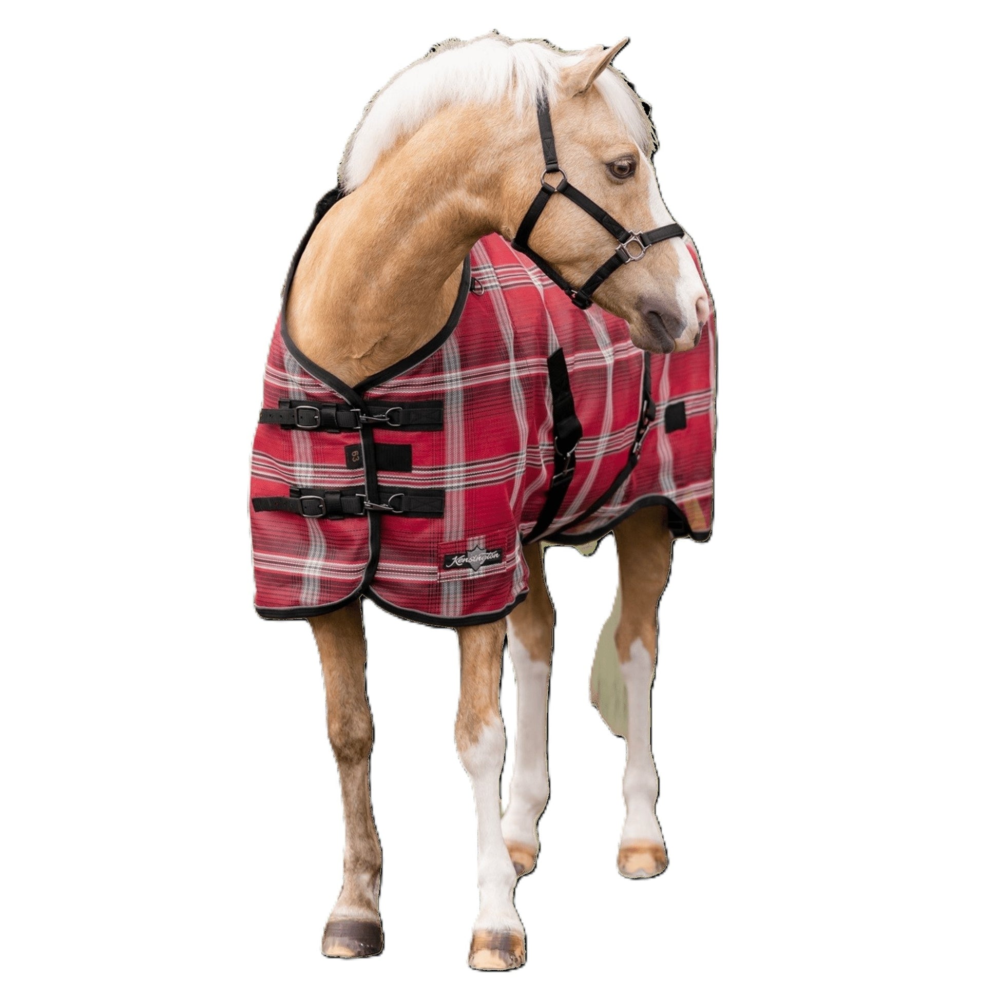 Kensington 73% UV Pony Protective Fly Sheet