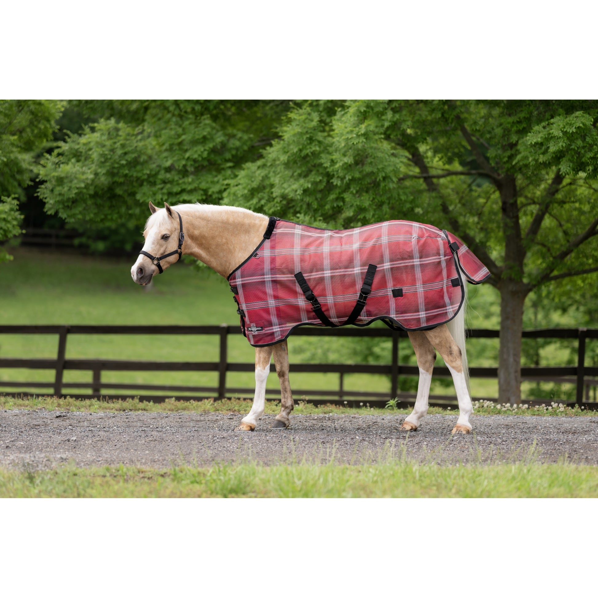 Kensington 73% UV Pony Protective Fly Sheet
