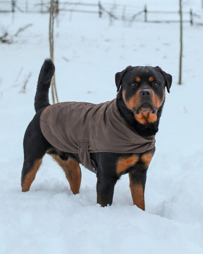 Outback Trading Marty Dog Coat