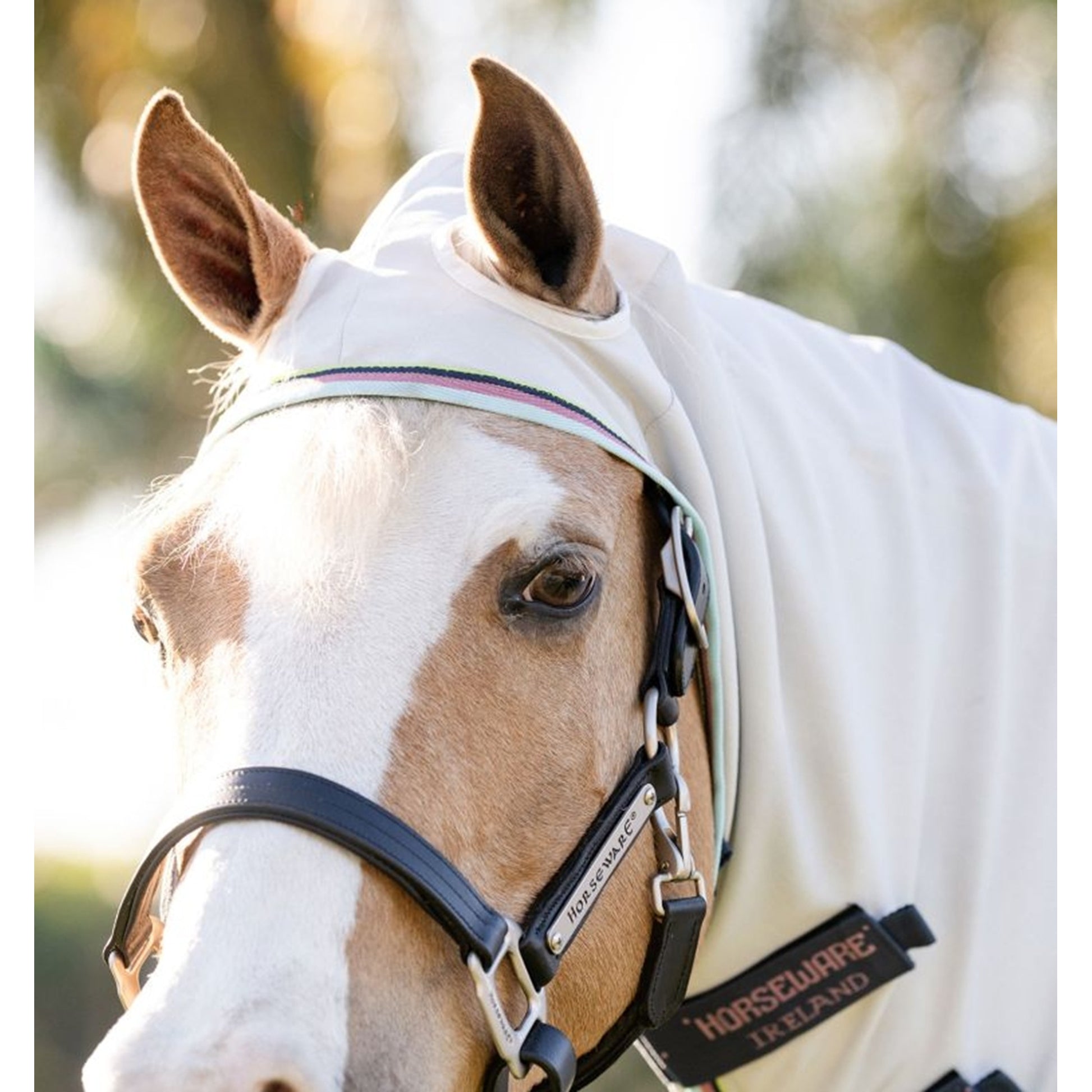 Amigo Ripstop Pony Hoody
