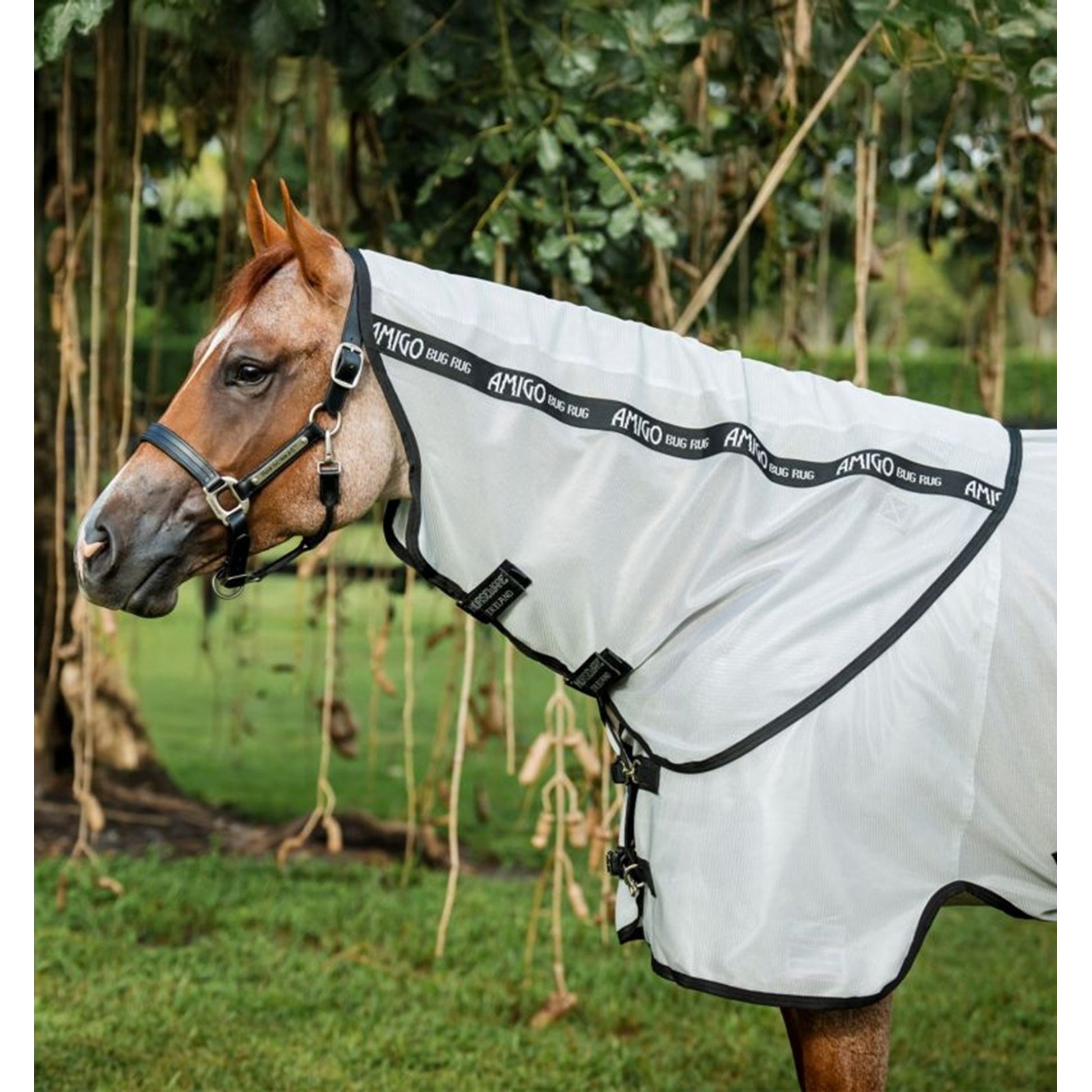 Amigo Bug Rug Stock Horse Hood