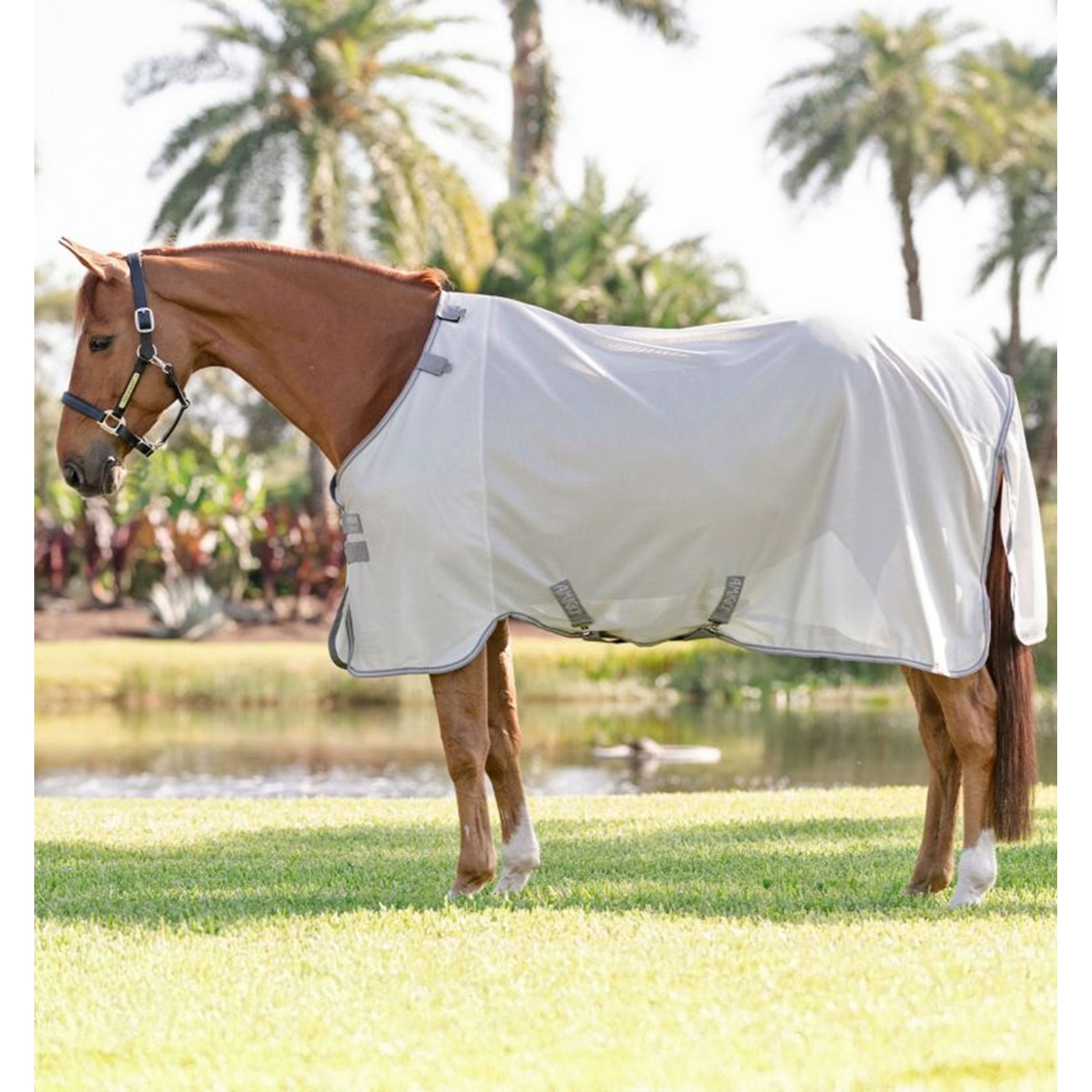 Amigo Bug Rug Fly Sheet