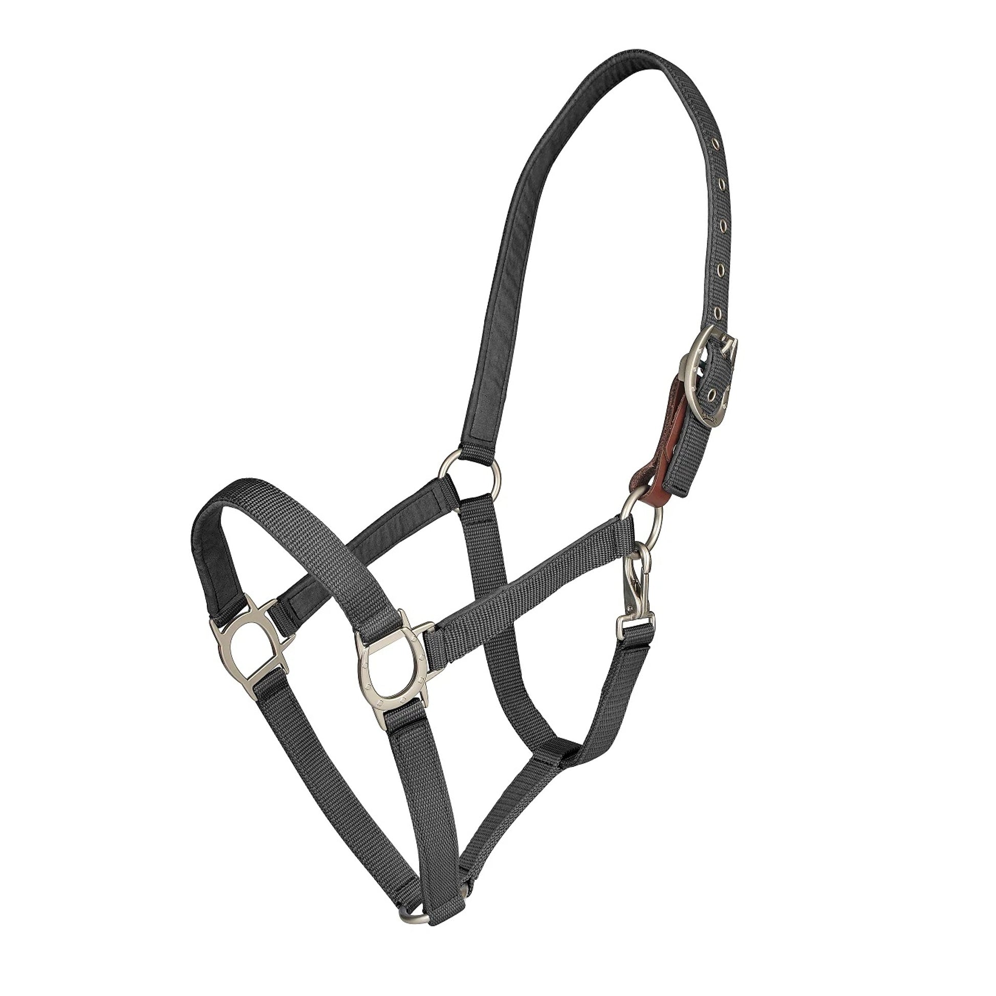 Ovation Lucky Breakaway Halter