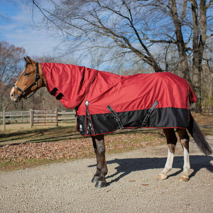 Equinavia Norse Heavy Weight TO 300g