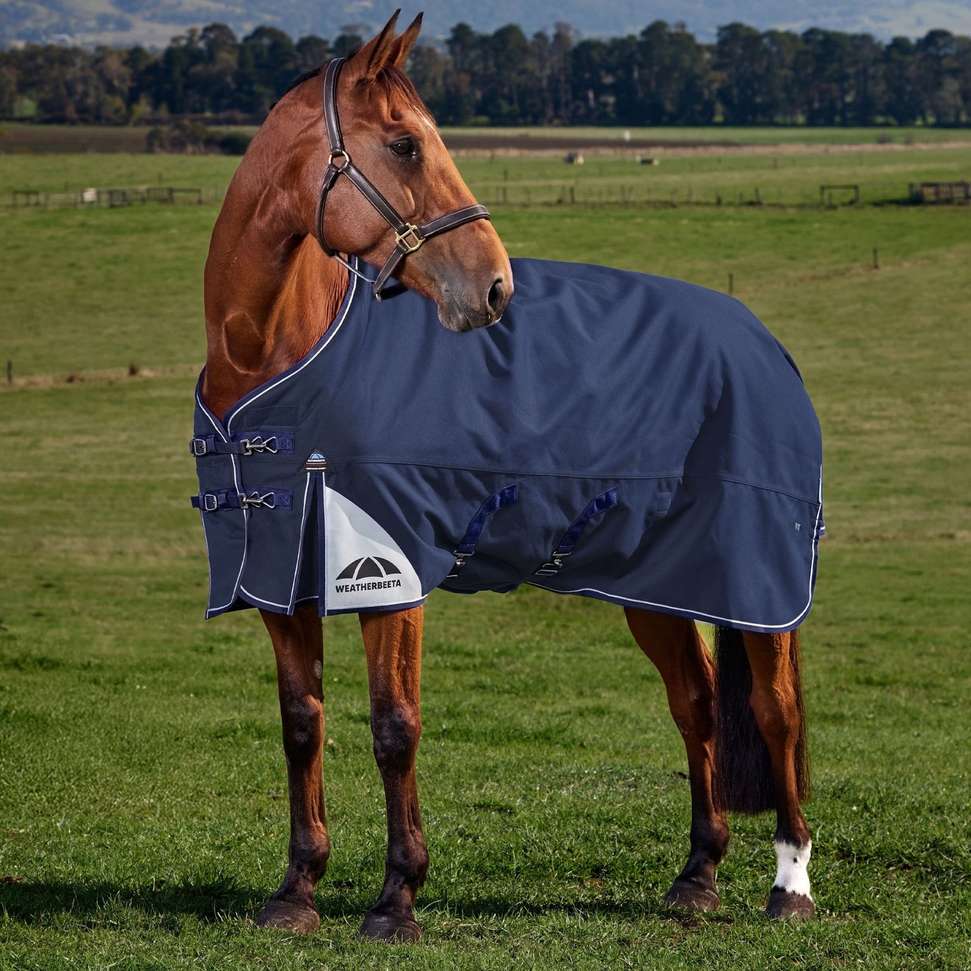 Weatherbeeta ComFiTec Ultra Turnout Standard Neck 220g
