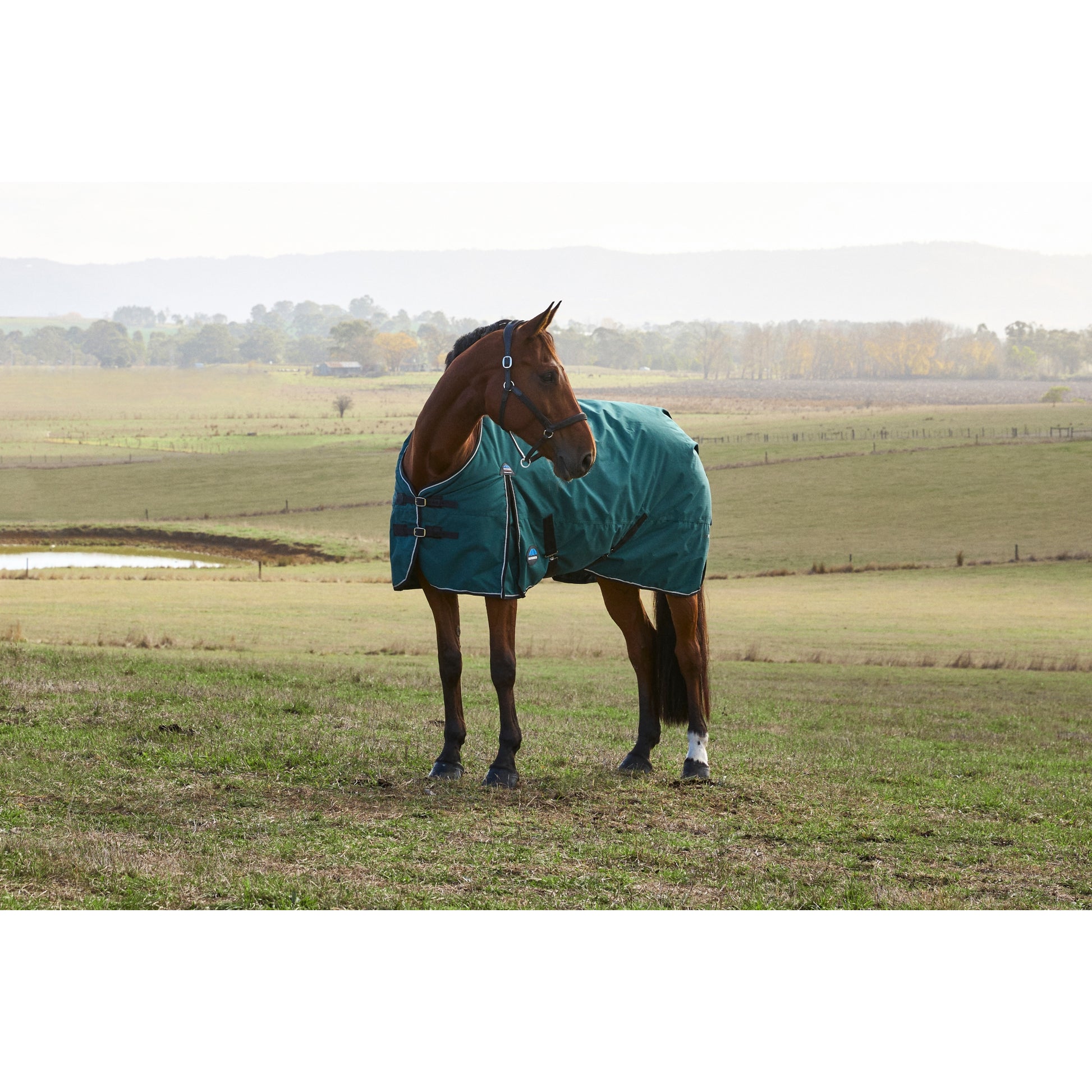 Weatherbeeta ComFiTec Plus Dynamic Turnout Detach-A-Neck 220g