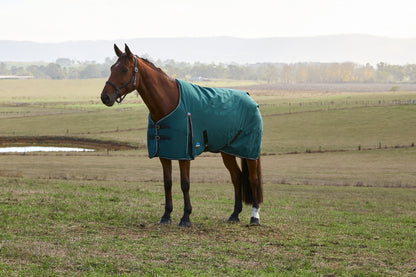 Weatherbeeta ComFiTec Plus Dynamic Turnout Detach-A-Neck 220g