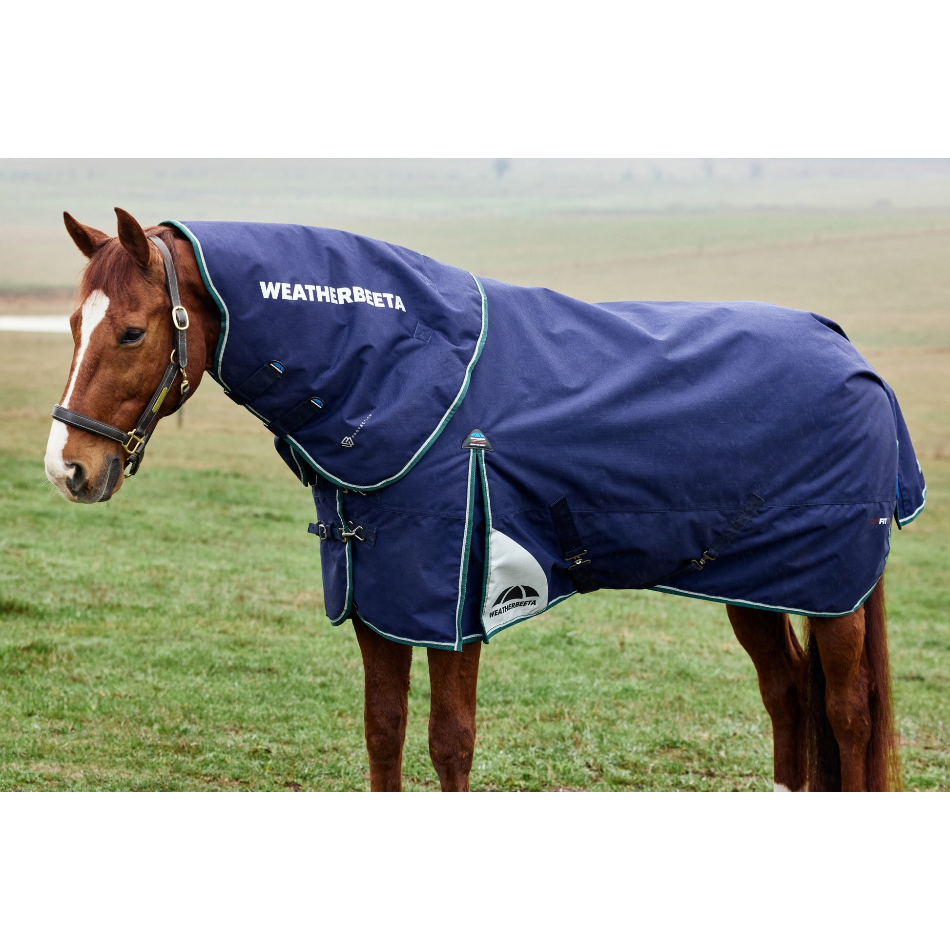 Weatherbeeta ComFiTec Plus Dynamic Turnout Detach-A-Neck 220g