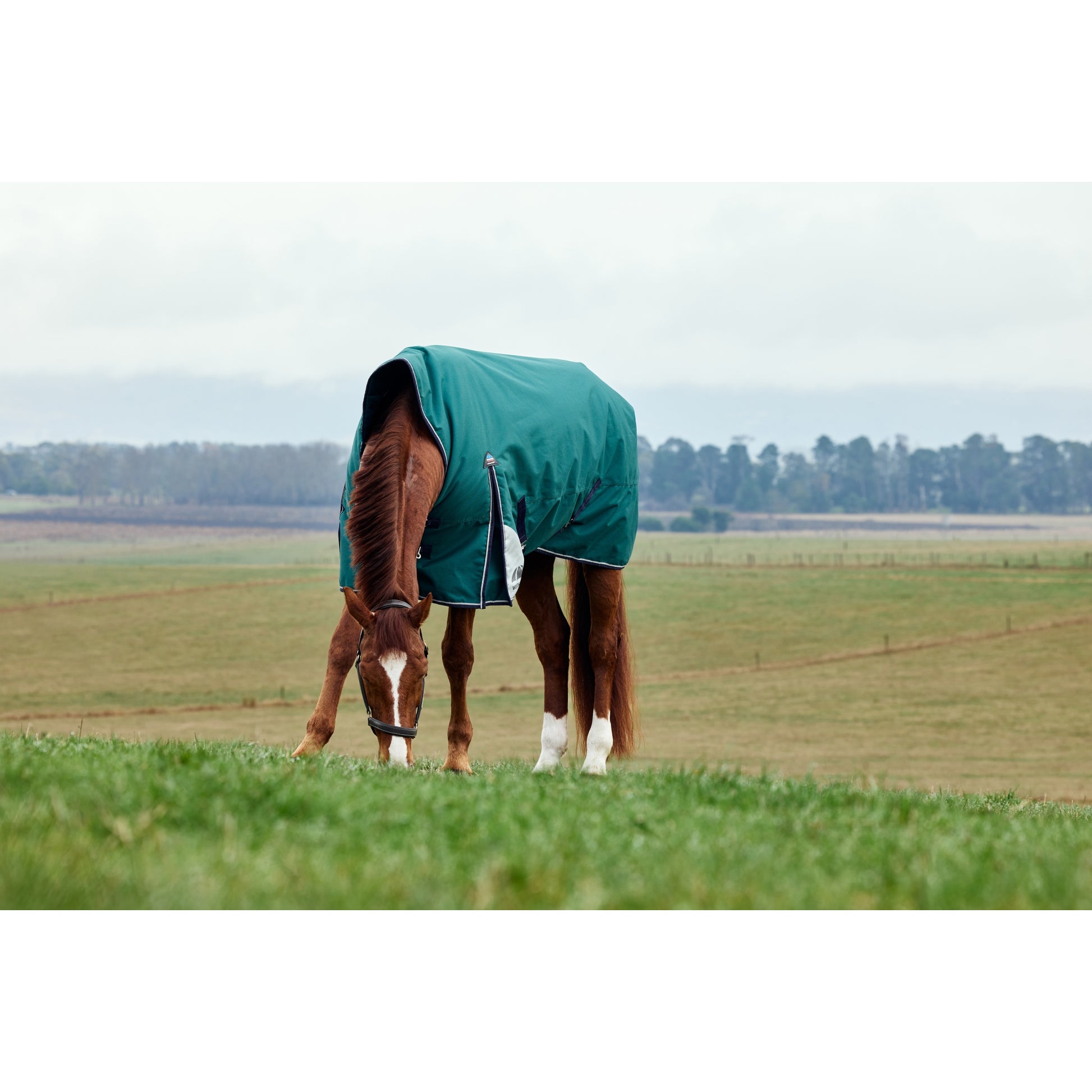 Weatherbeeta ComFiTec Plus Dynamic Turnout High Neck 220g