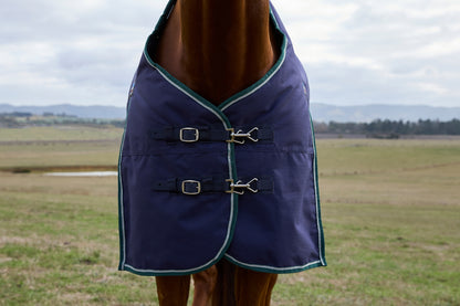 Weatherbeeta ComFiTec Plus Dynamic Turnout Standard Neck 100g