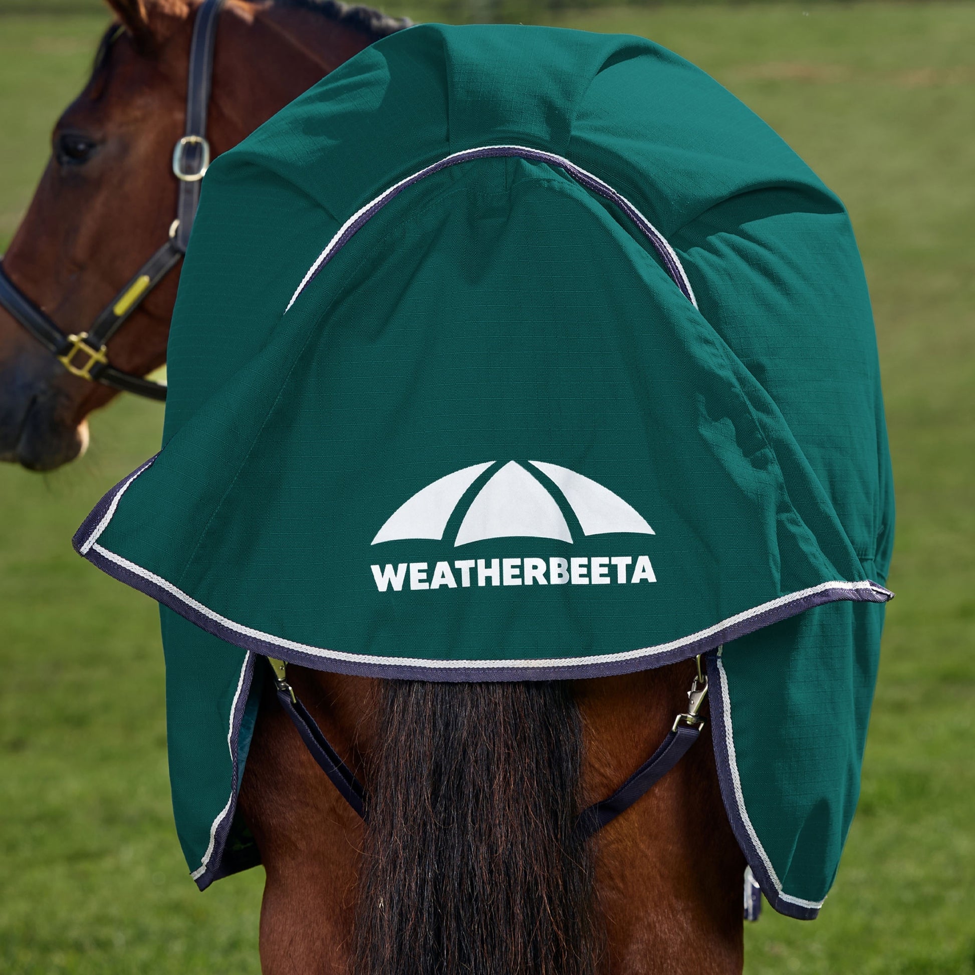 Weatherbeeta ComFiTec Plus Dynamic Turnout Standard Neck 0g
