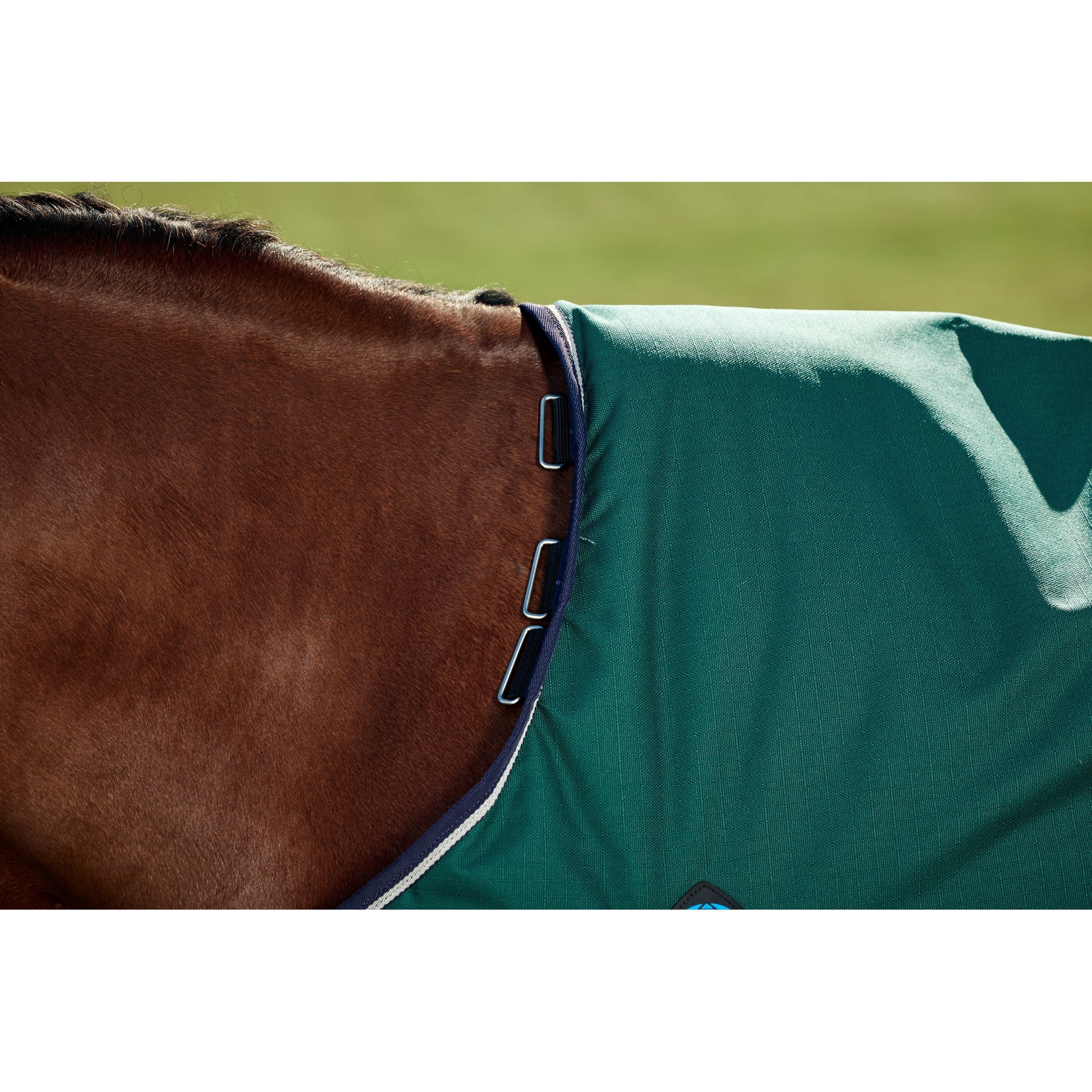 Weatherbeeta ComFiTec Plus Dynamic Turnout Standard Neck 0g