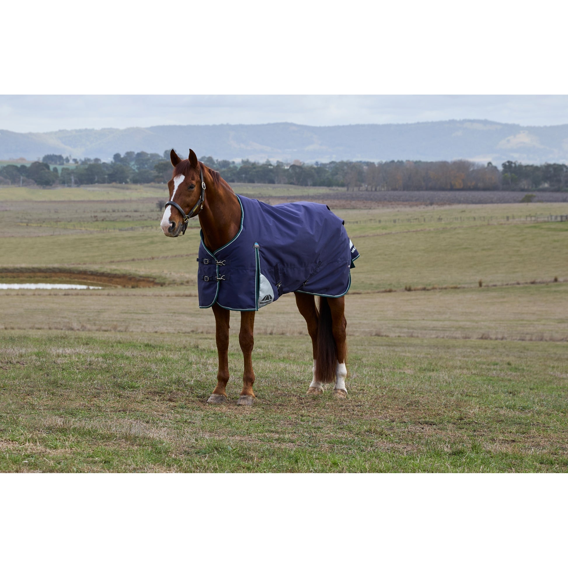 Weatherbeeta ComFiTec Plus Dynamic Turnout Standard Neck 0g