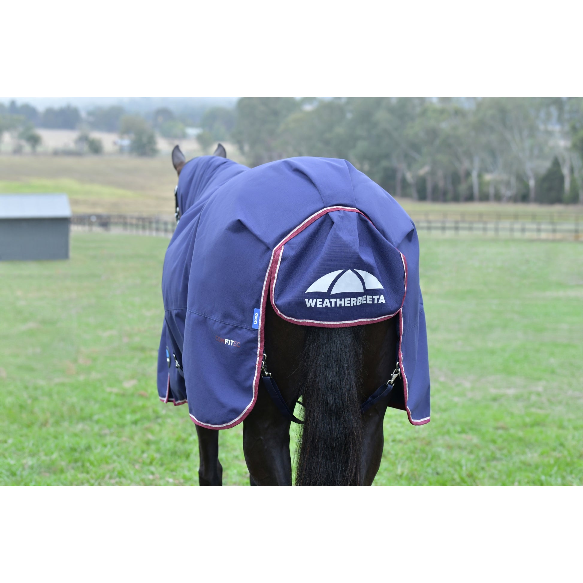 Weatherbeeta ComFiTec Essential Turnout Combo Neck 220g