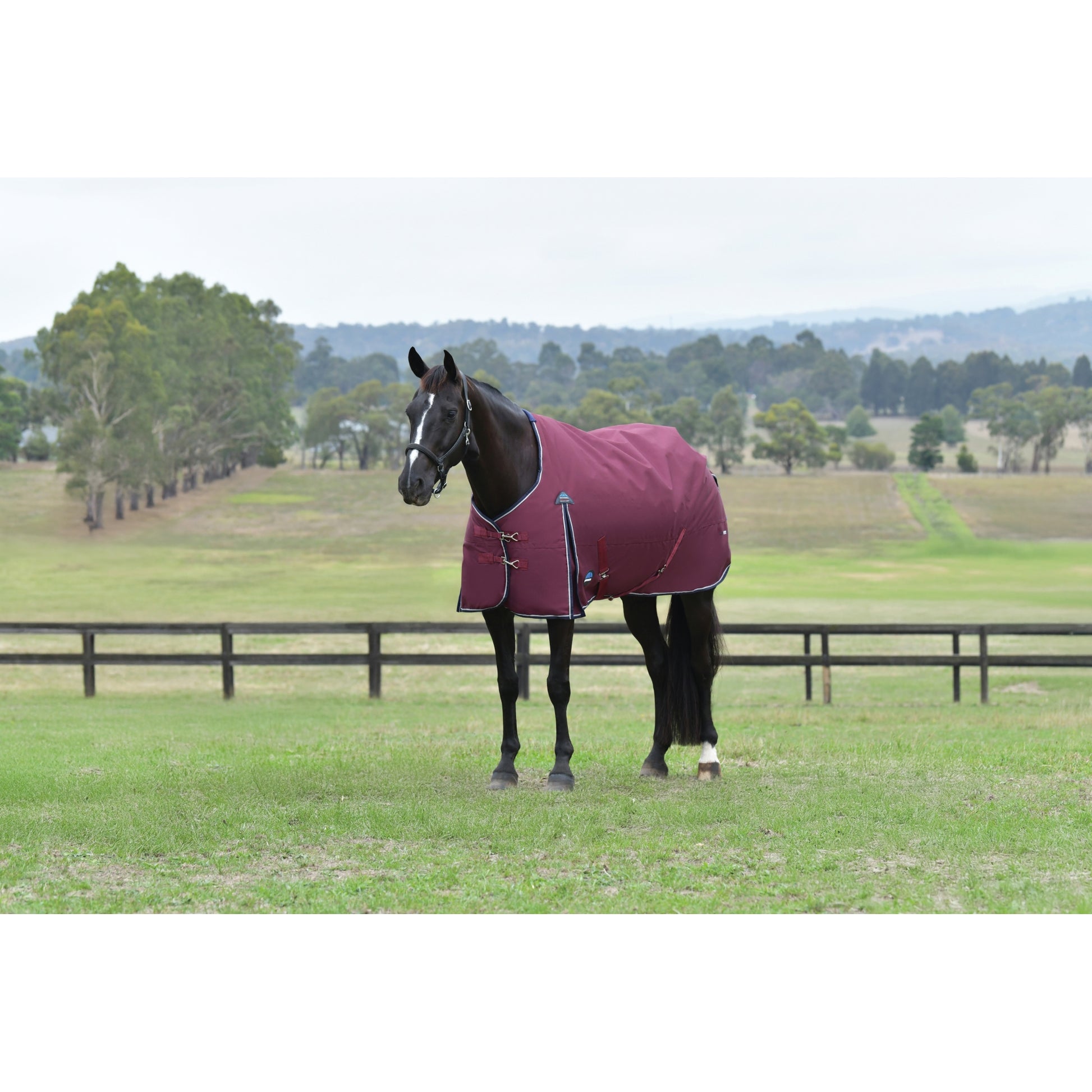 Weatherbeeta ComFiTec Essential Turnout Standard Neck 100g