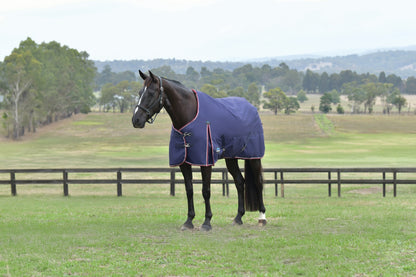 Weatherbeeta ComFiTec Essential Turnout Standard Neck 100g