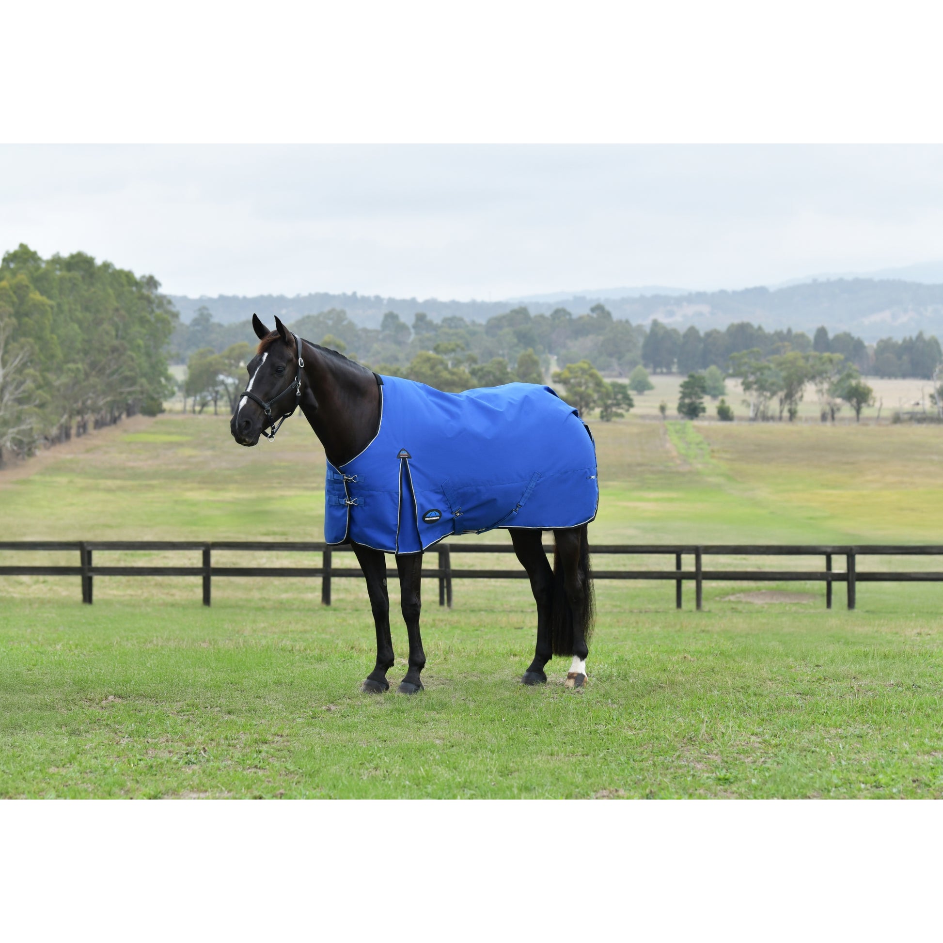 Weatherbeeta ComFiTec Essential Turnout Standard Neck 220g