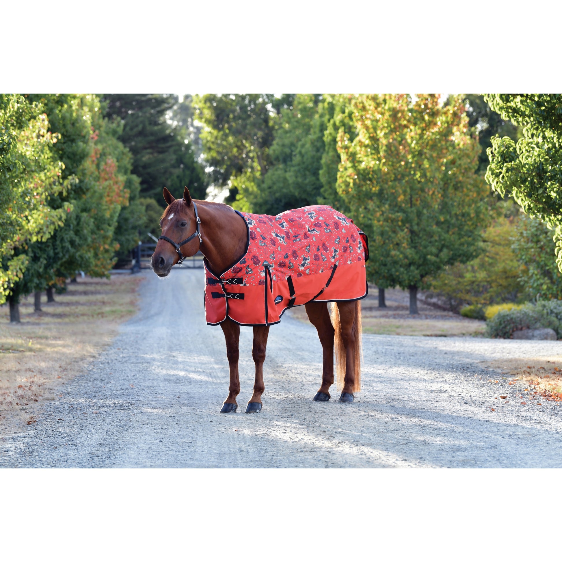 Weatherbeeta ComFiTec Essential Turnout Standard Neck 220g