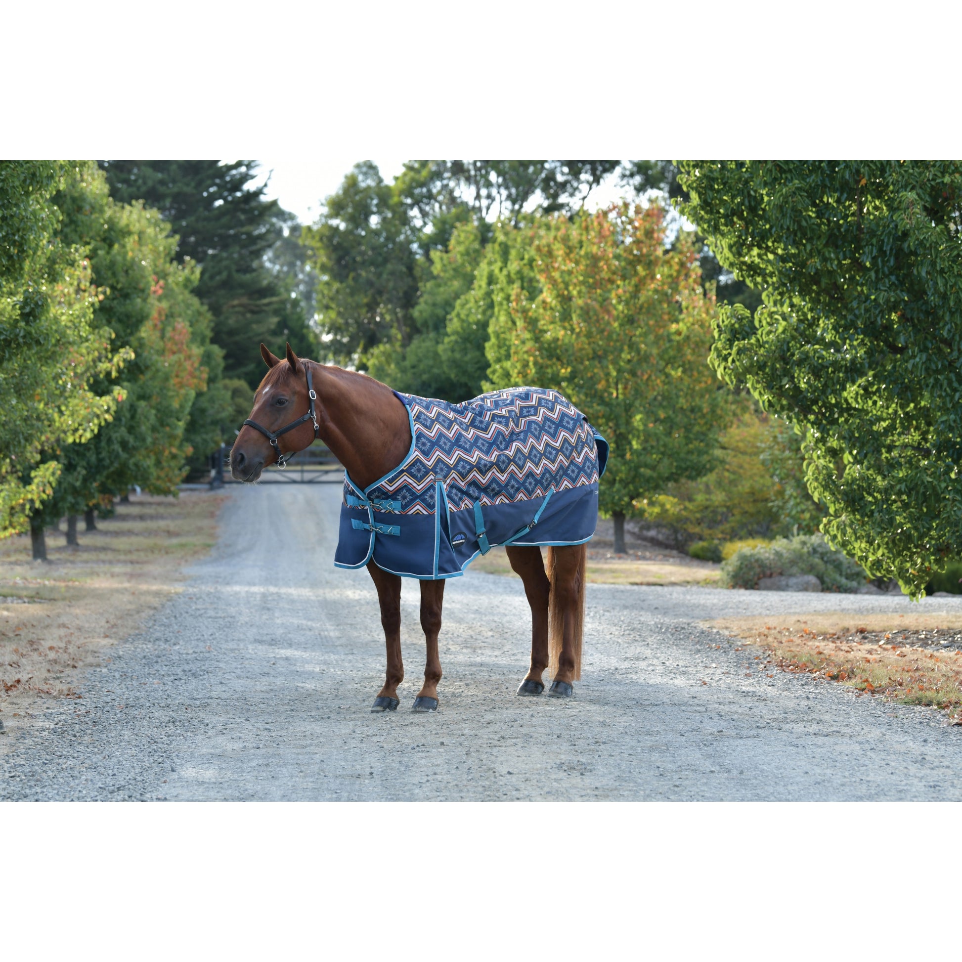 Weatherbeeta ComFiTec Essential Turnout Standard Neck 220g
